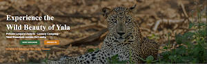 Yala Leopards Safari Jeep Tours place picture